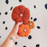 Pumpkin Crochet Kit - The Pigeon's Nest