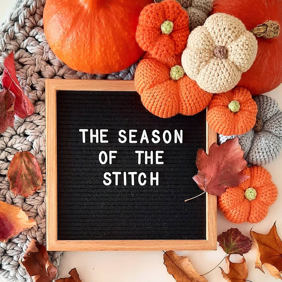 Pumpkin Crochet Kit