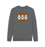 Slate Grey Printed Sweater Front