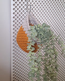 Little Loops Basket Printed Crochet Pattern