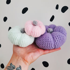 Pumpkin Crochet Kit - The Pigeon's Nest