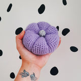 Pumpkin Crochet Kit - The Pigeon's Nest