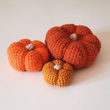 Pumpkin Crochet Kit - The Pigeon's Nest