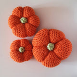 Pumpkin Crochet Kit - The Pigeon's Nest