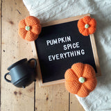 Pumpkin Printed Crochet Pattern - The Pigeon's Nest